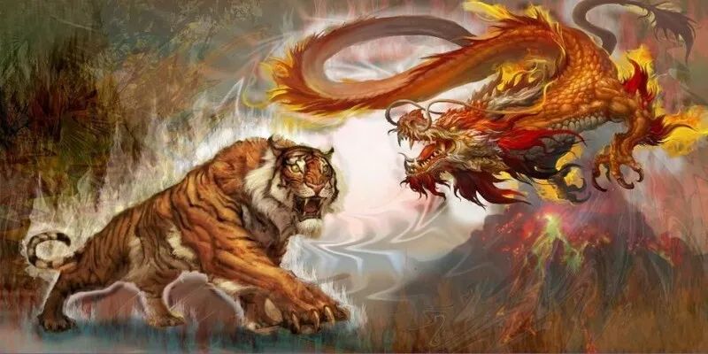 Tìm hiểu sơ lược về sản phẩm Rồng Hổ