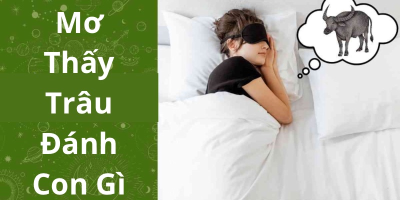 Mơ thấy trâu đánh con gì