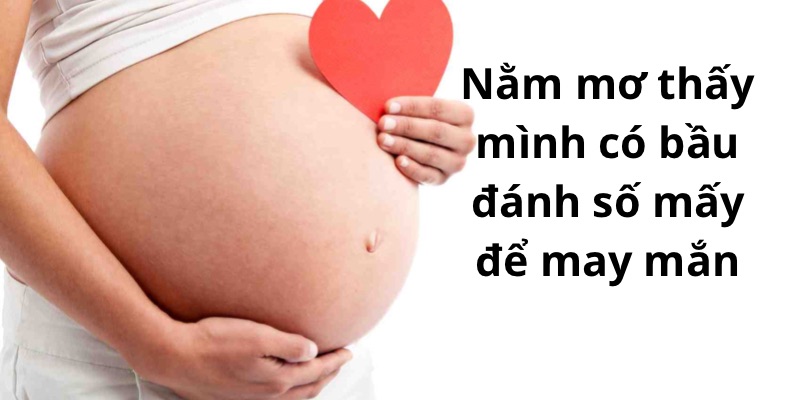 Nằm mơ thấy mình có bầu đánh số mấy để may mắn