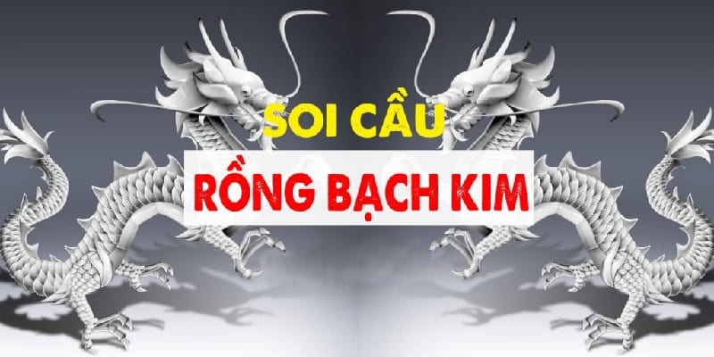 Cách soi cầu rồng bạch kim 666 là gì?