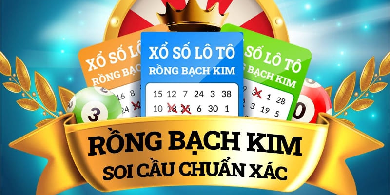 soi cầu rồng bạch kim 666 là gì