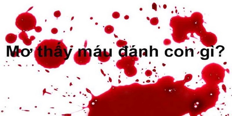Mơ thấy máu đánh con gì liên quan đến số đề 46 vào ngày hôm sau