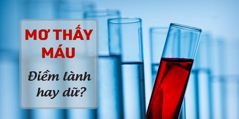 mơ thấy máu đánh con gì