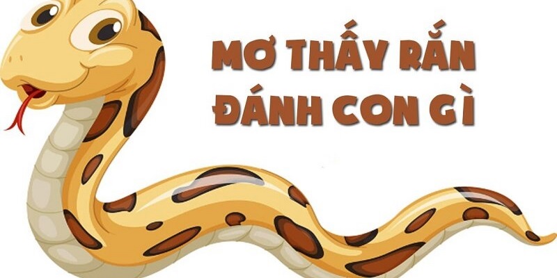 ngủ mơ thấy rắn đánh con gì