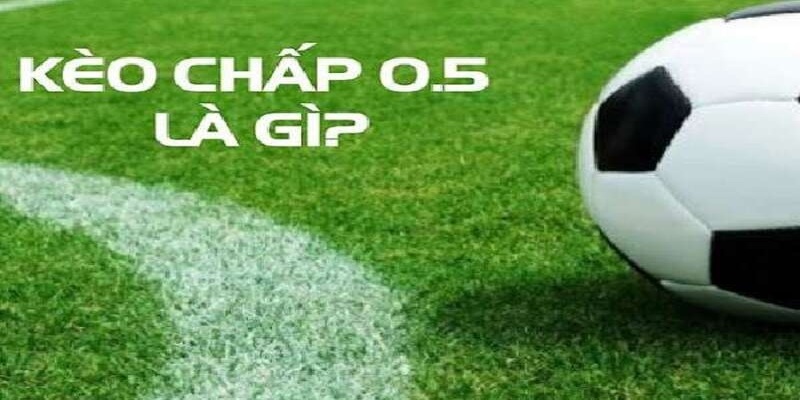 Đánh giá chung về kèo 0.5