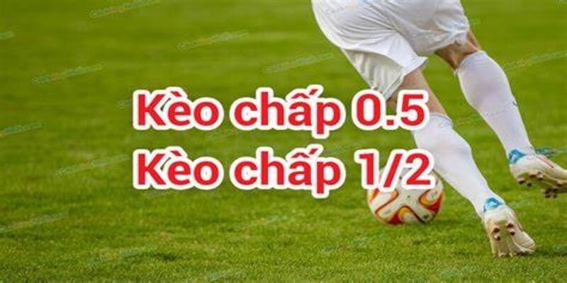 kèo 0.5 là gì