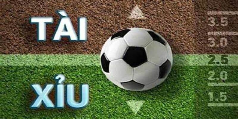 Kèo tài xỉu là hình thức phổ biến trong cá cược thể thao