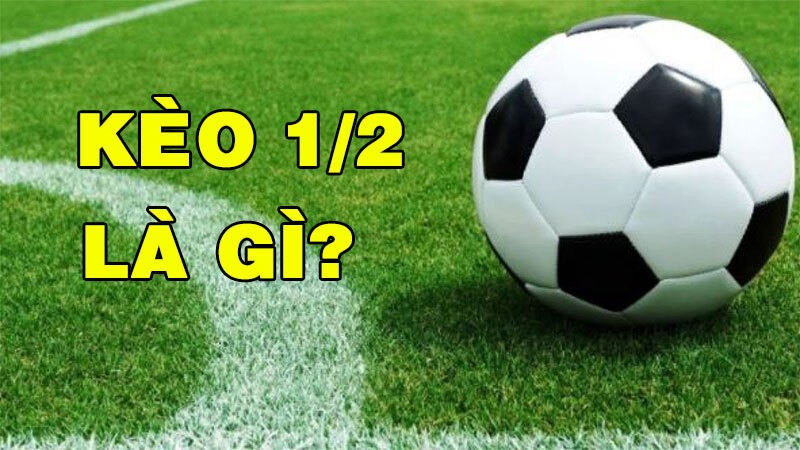 kèo 1/2 là gì