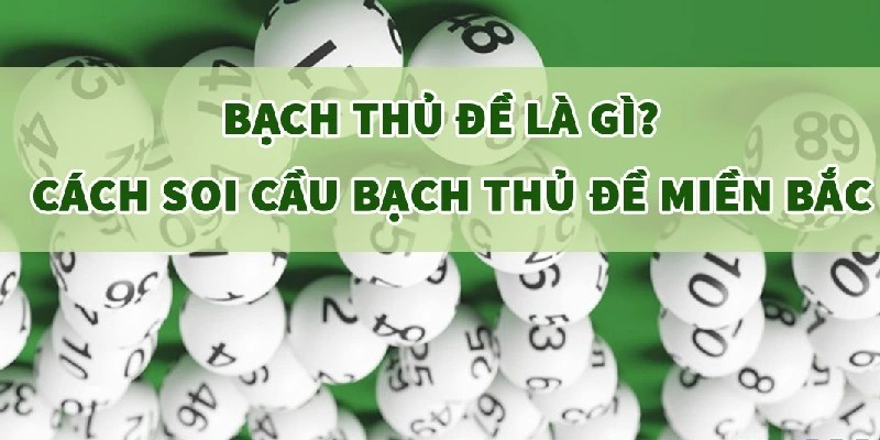Bạch thủ đề có nghĩa là gì?