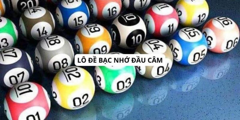 Tìm hiểu về khái niệm bạc nhớ đầu câm
