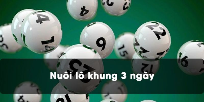 Đôi nét về hình thức lô kép nuôi khung 3 ngày rồng bạch kim