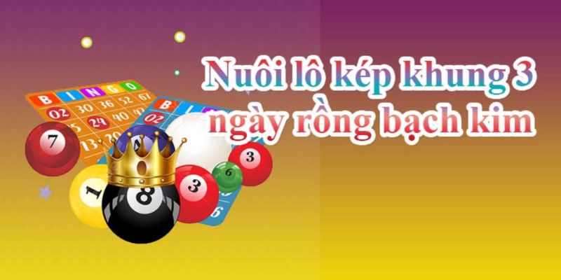 Lô Kép Nuôi Khung 3 Ngày Rồng Bạch Kim