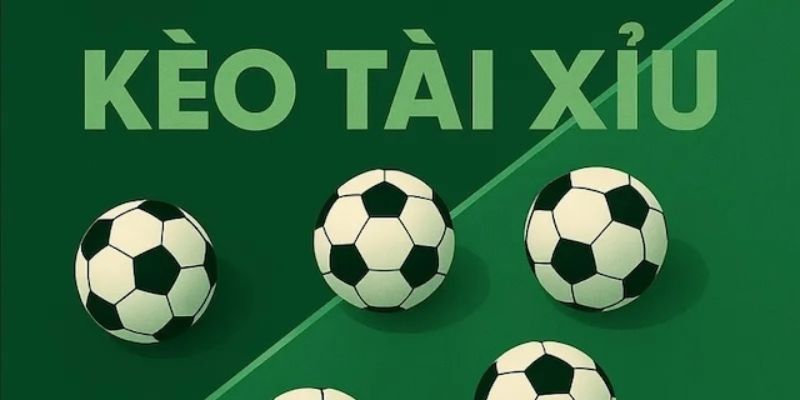 Kèo Tài Xỉu 2,5 Trái Là Gì