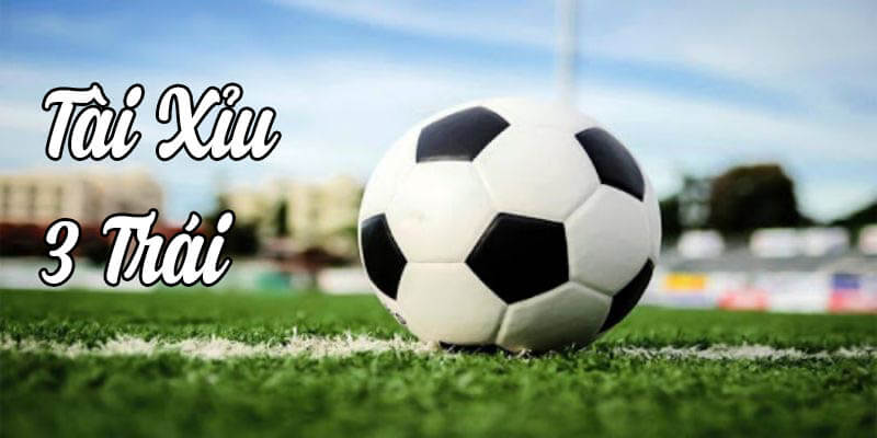 Những tỷ lệ cá độ tài xỉu cơ bản 