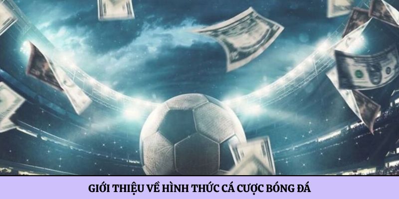 Giới thiệu về hình thức cá cược bóng đá
