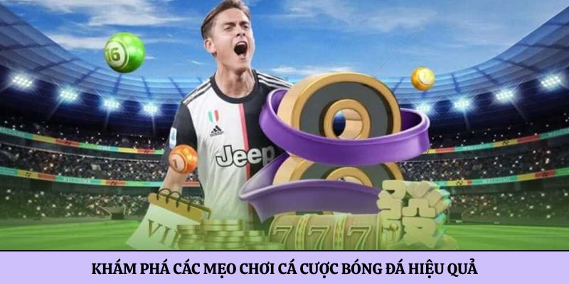 Khám phá các mẹo chơi cá cược bóng đá hiệu quả