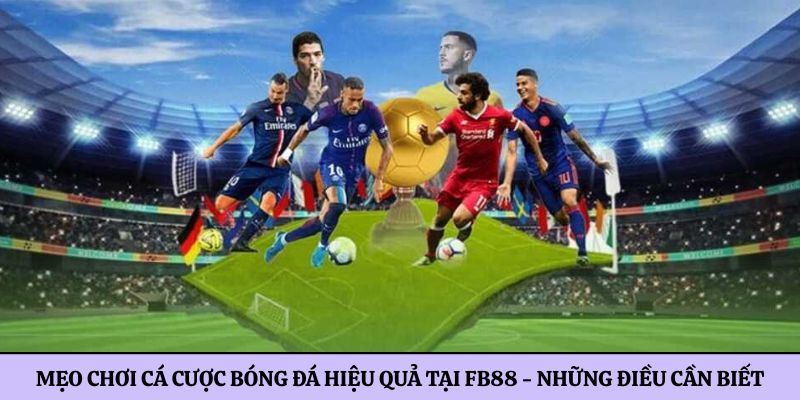 Mẹo chơi cá cược bóng đá hiệu quả