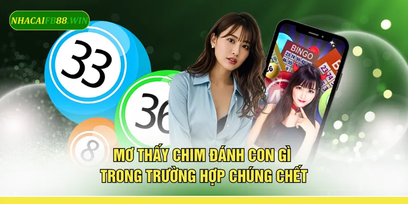 Mơ thấy chim đánh con gì trong trường hợp chúng chết