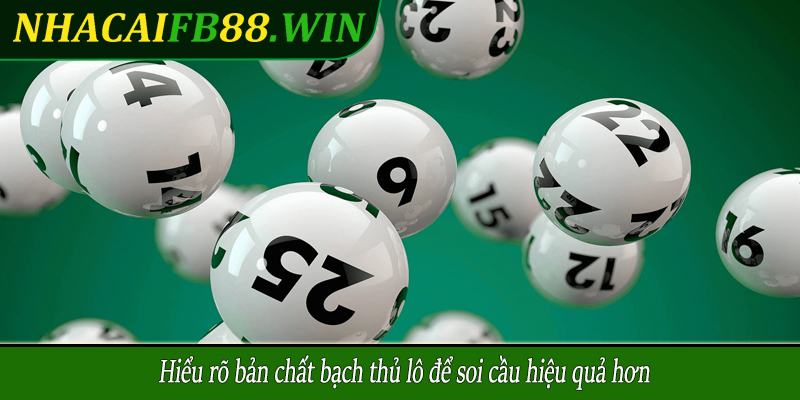 Hiểu rõ bản chất bạch thủ lô để soi cầu hiệu quả hơn