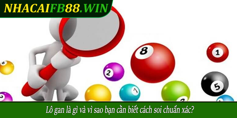 Lô gan là gì và vì sao bạn cần biết cách soi chuẩn xác?