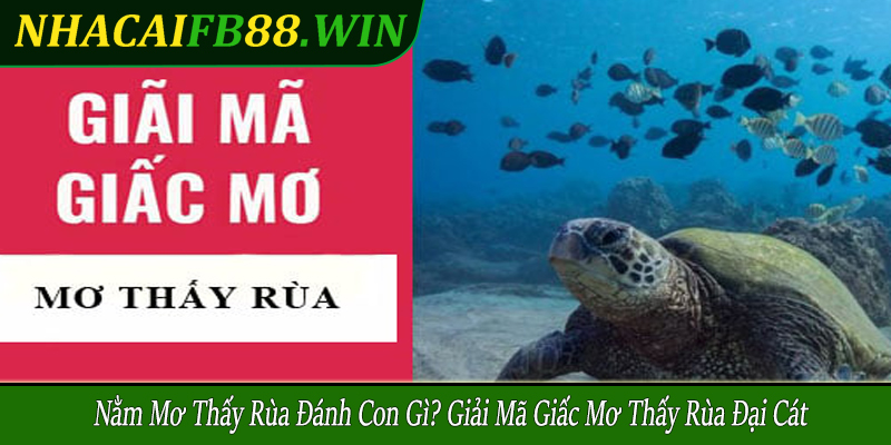 nằm mơ thấy rùa đánh con gì