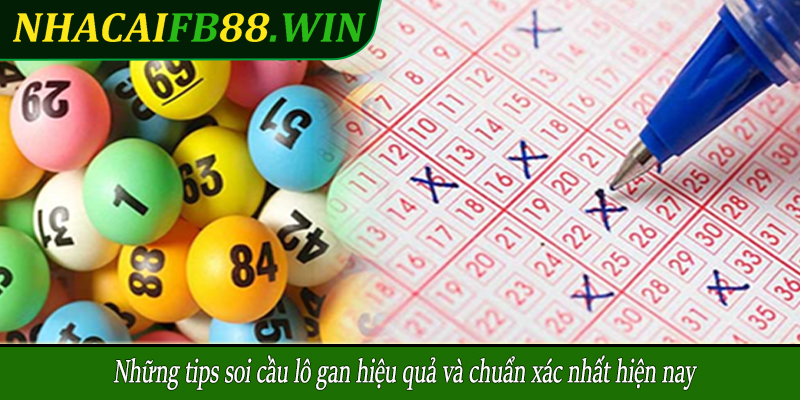 Những tips soi cầu lô gan hiệu quả và chuẩn xác nhất hiện nay
