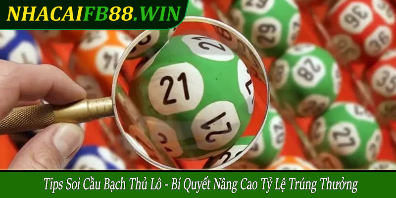 tips soi cầu bạch thủ lô
