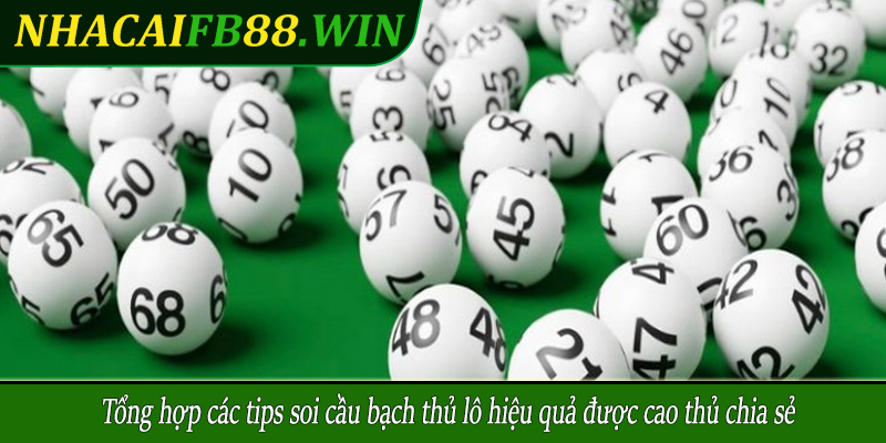 Tổng hợp các tips soi cầu bạch thủ lô hiệu quả được cao thủ chia sẻ