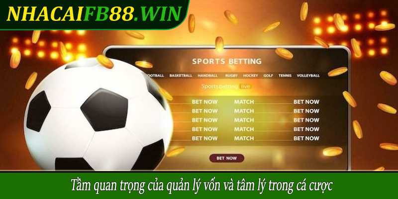 Tầm quan trọng của quản lý vốn và tâm lý trong cá cược
