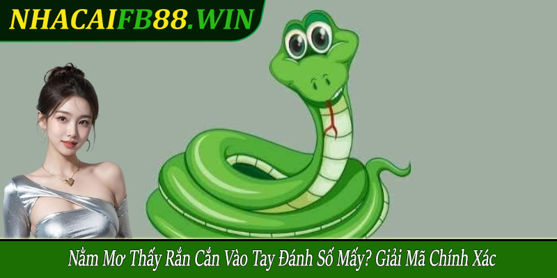 nằm mơ thấy rắn cắn vào tay đánh số mấy