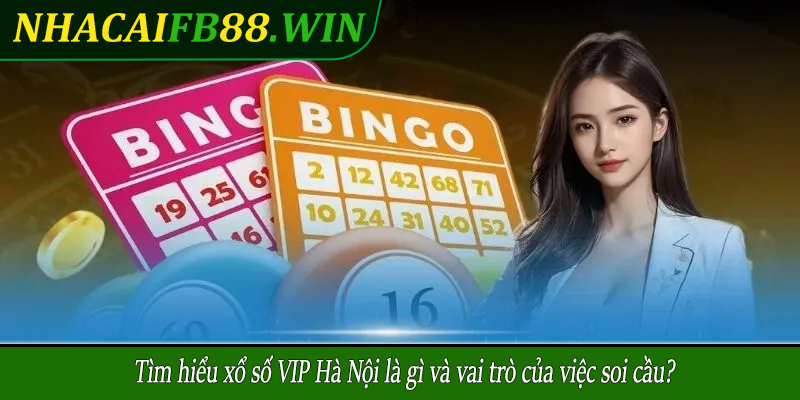 Tìm hiểu xổ số VIP Hà Nội là gì và vai trò của việc soi cầu?