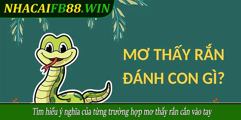 Tìm hiểu ý nghĩa của từng trường hợp mơ thấy rắn cắn vào tay