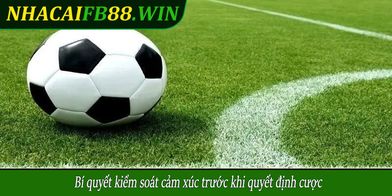 Bí quyết kiểm soát cảm xúc trước khi quyết định cược