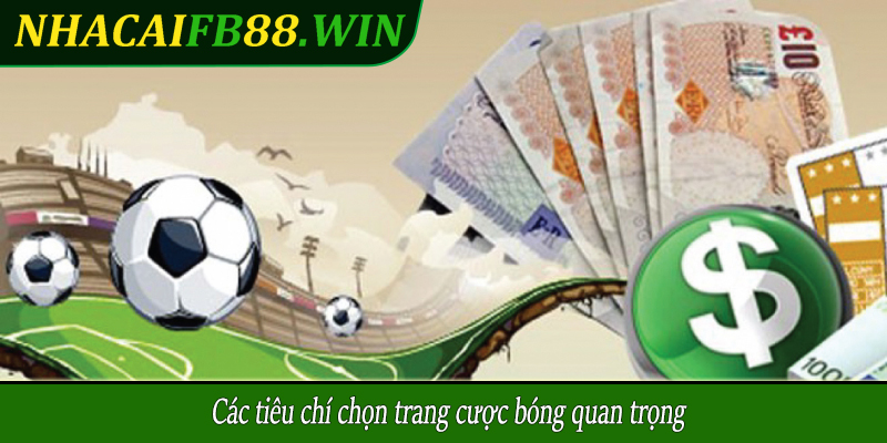 Các tiêu chí chọn trang cược bóng quan trọng