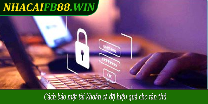 Cách bảo mật tài khoản cá độ hiệu quả cho tân thủ