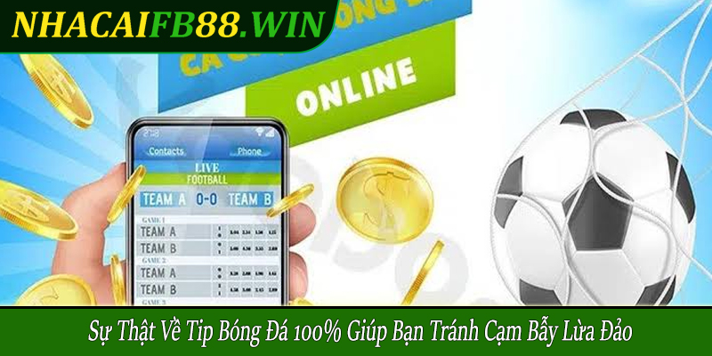 sự thật về tip bóng đá 100%