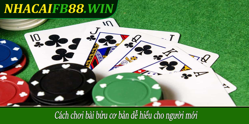 Cách chơi bài bửu cơ bản dễ hiểu cho người mới