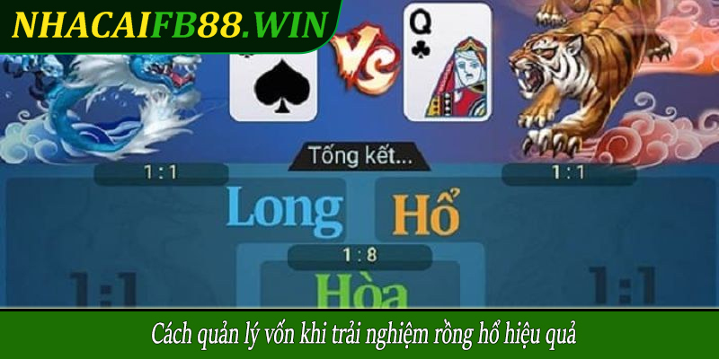 Cách quản lý vốn khi trải nghiệm rồng hổ hiệu quả