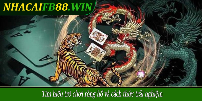 Tìm hiểu trò chơi rồng hổ và cách thức trải nghiệm