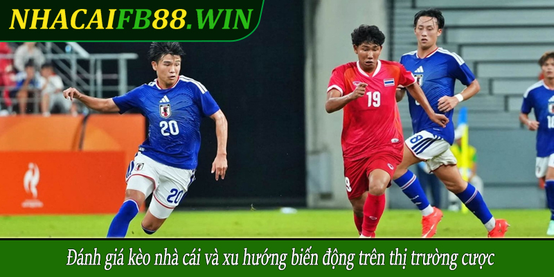 Đánh giá kèo nhà cái và xu hướng biến động trên thị trường cược